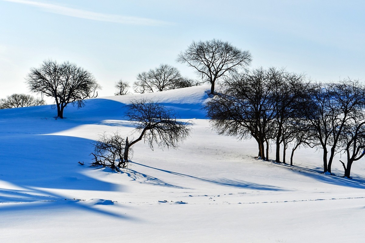 我只是把出去看到的随手记录下来（135）