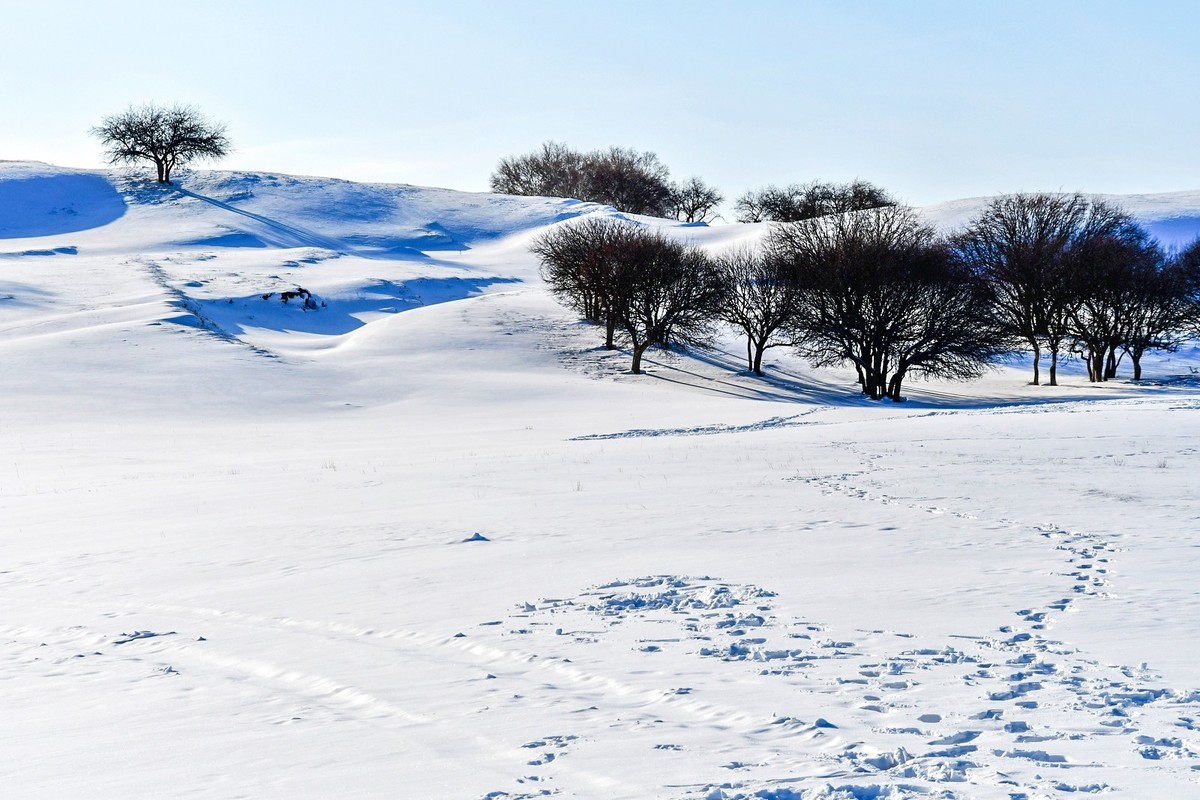 我只是把出去看到的随手记录下来（135）