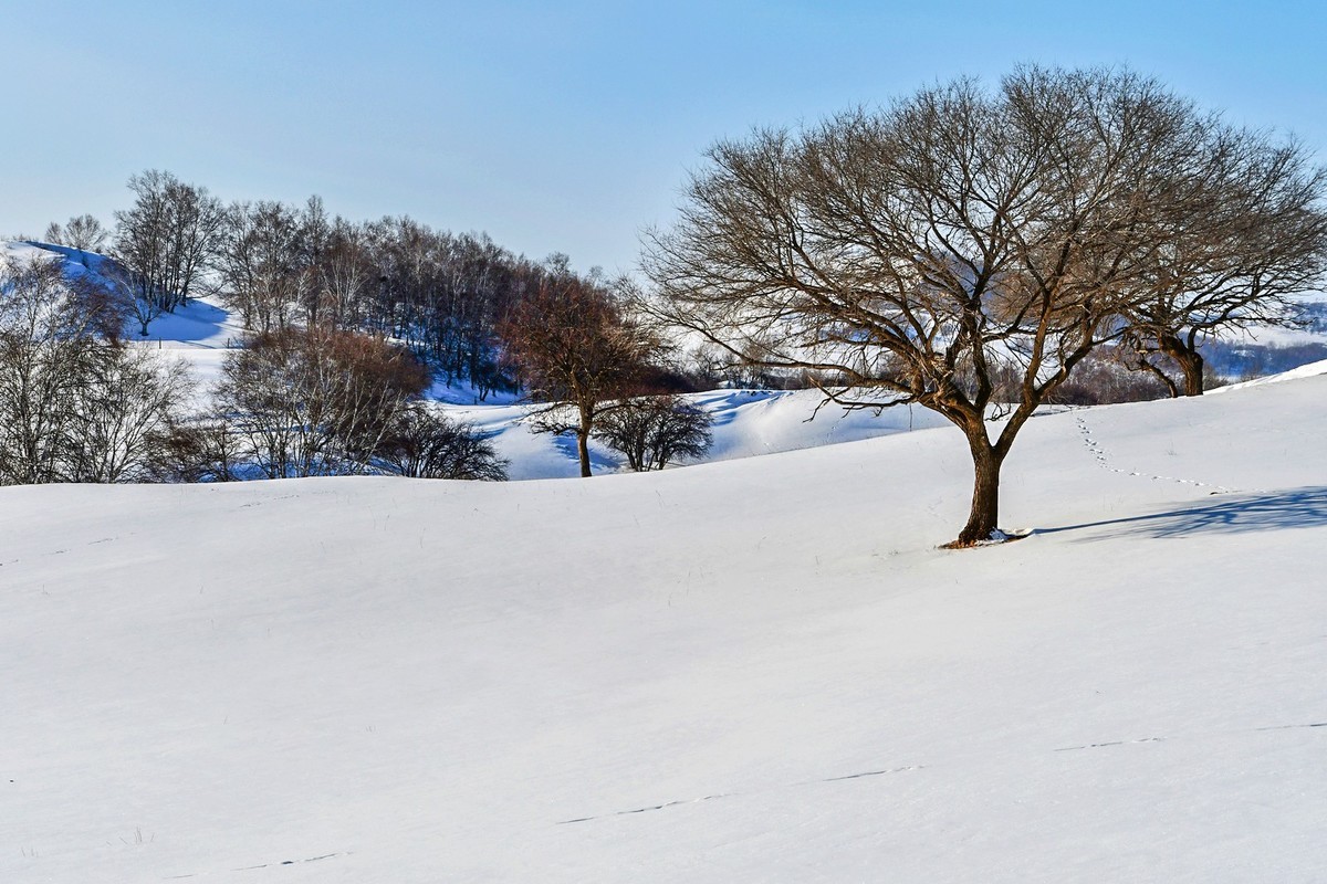 我只是把出去看到的随手记录下来（135）