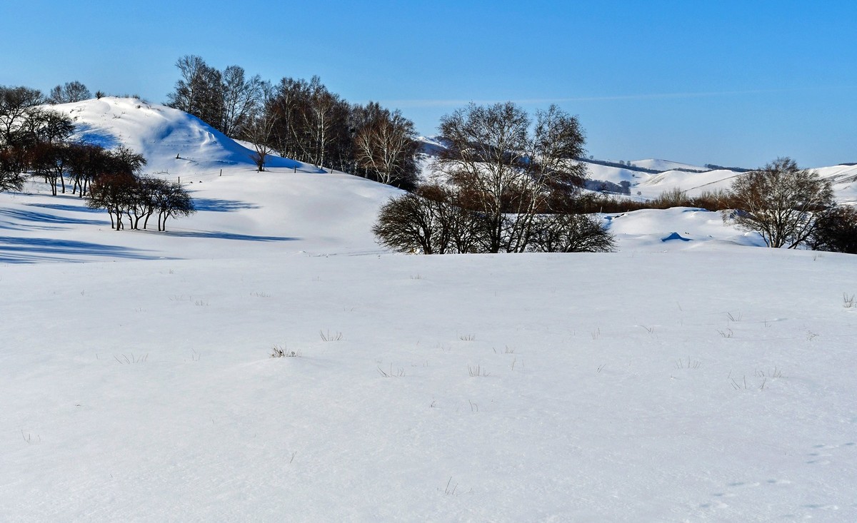 我只是把出去看到的随手记录下来（135）
