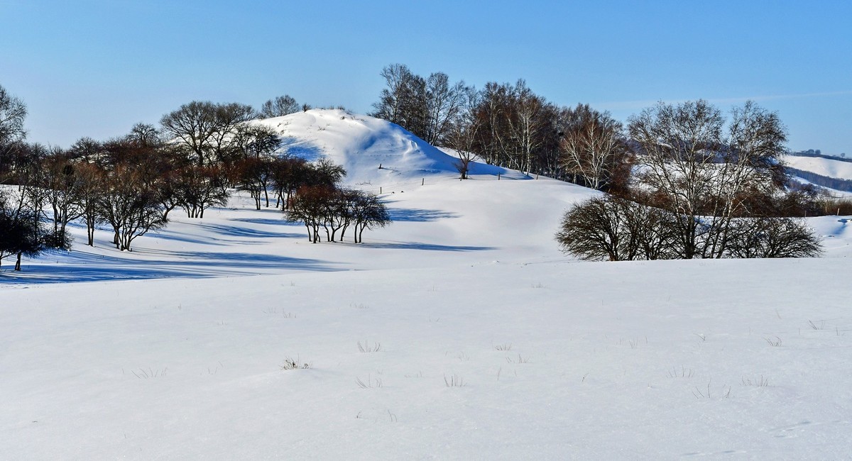我只是把出去看到的随手记录下来（135）