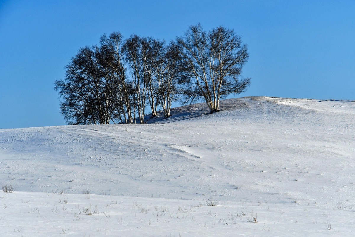 我只是把出去看到的随手记录下来（135）