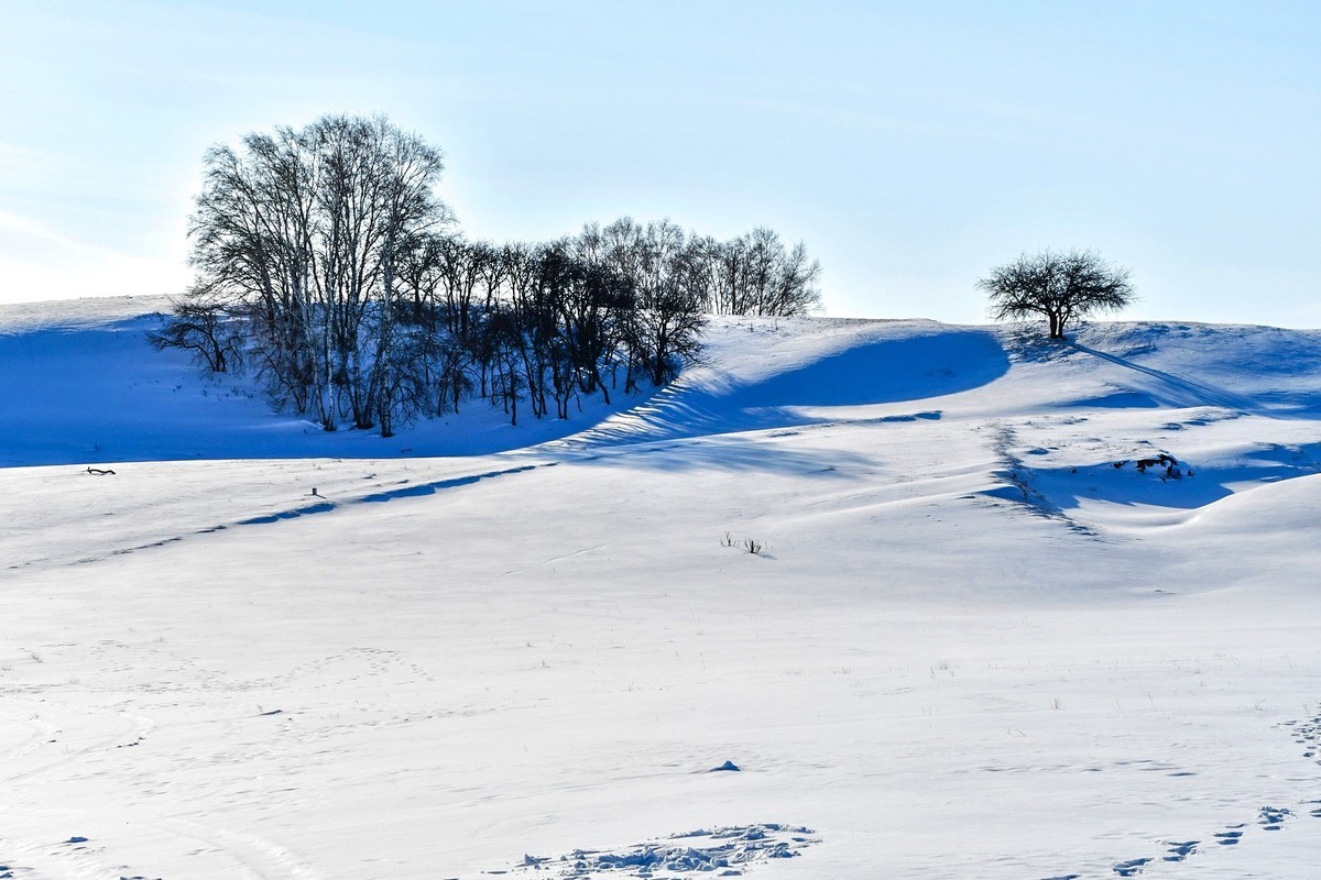 我只是把出去看到的随手记录下来（135）