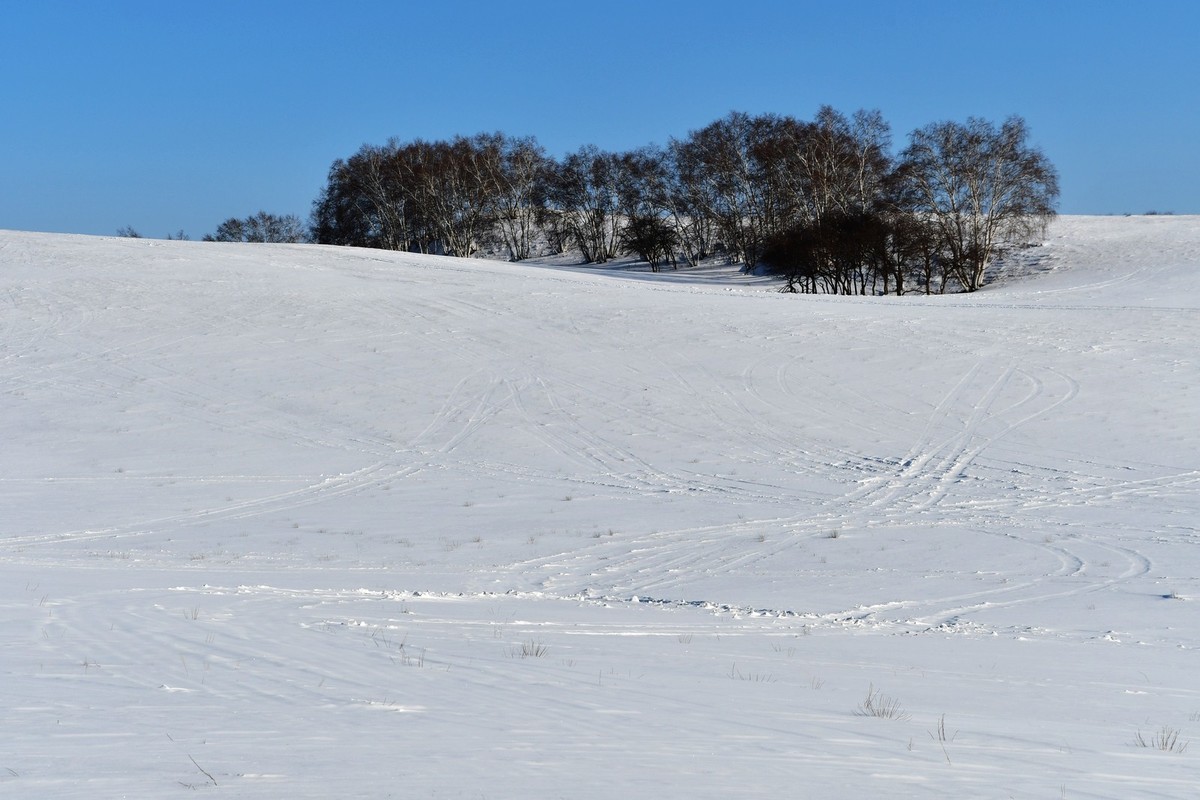我只是把出去看到的随手记录下来（135）