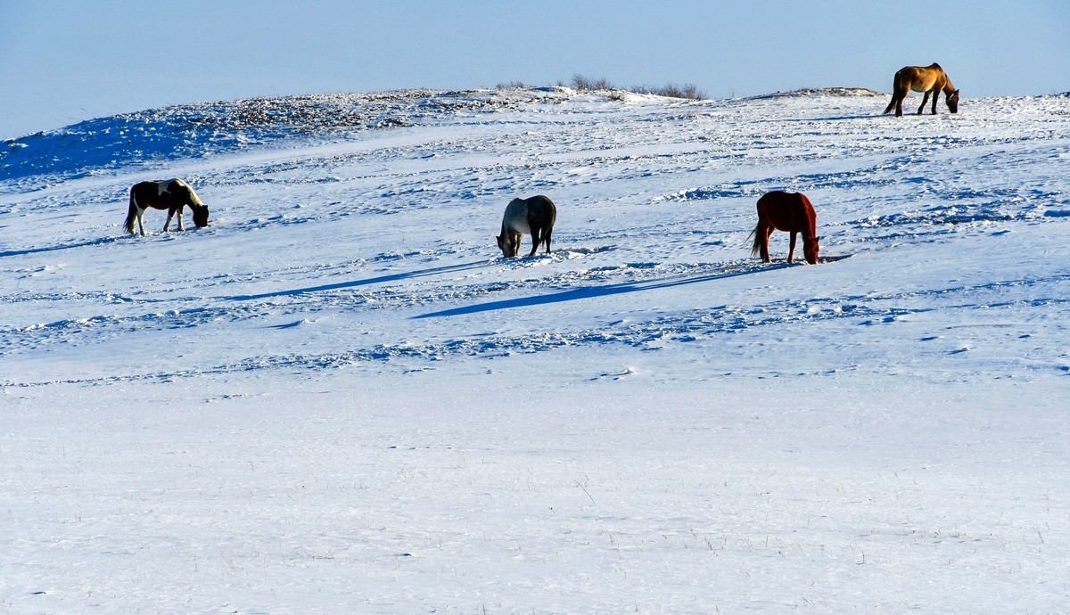 我只是把出去看到的随手记录下来（135）