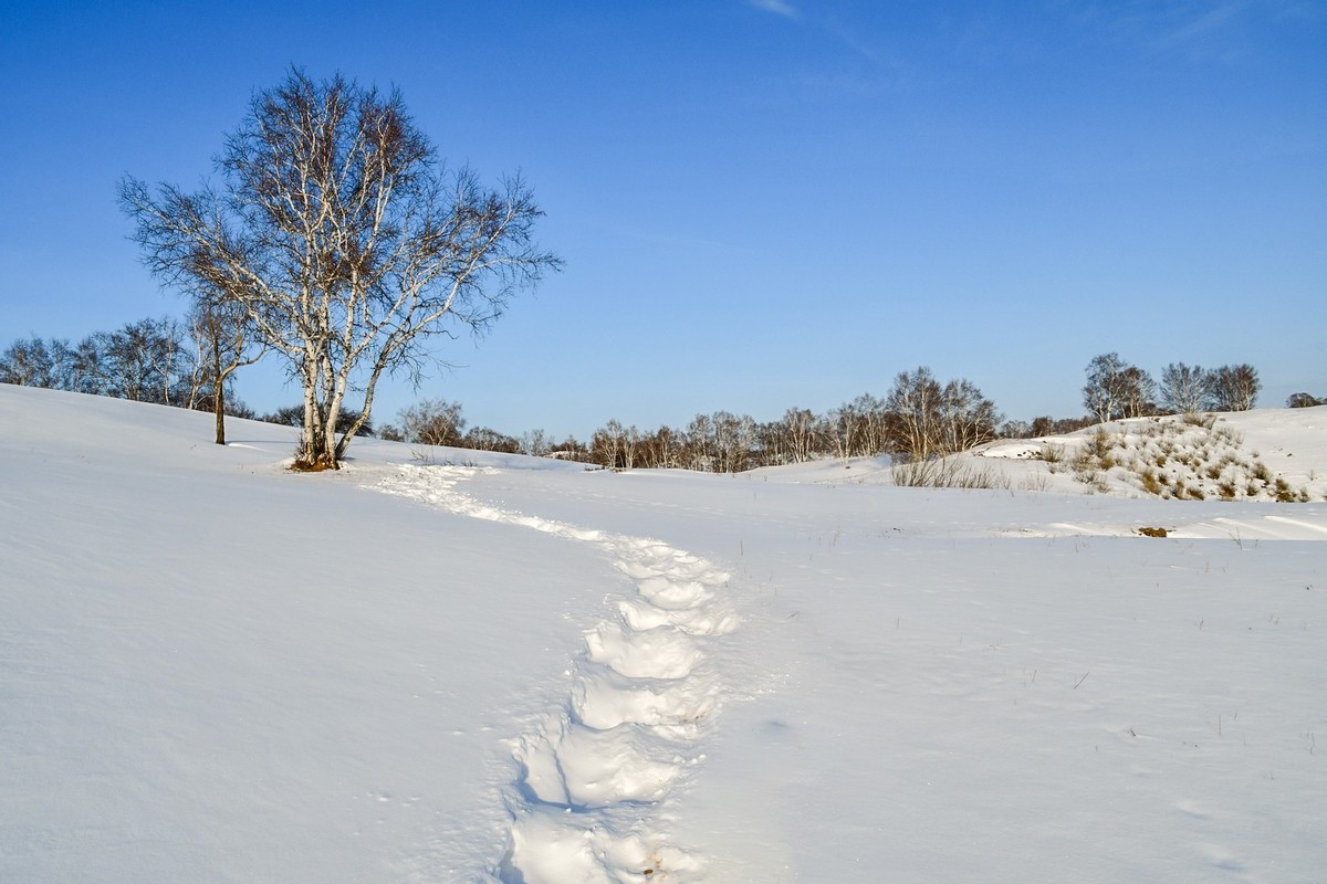 我只是把出去看到的随手记录下来（135）