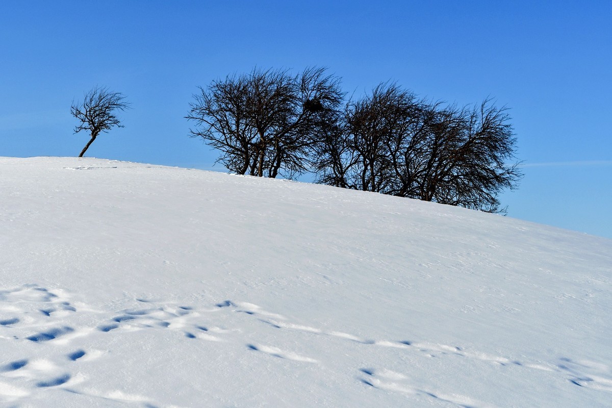我只是把出去看到的随手记录下来（135）