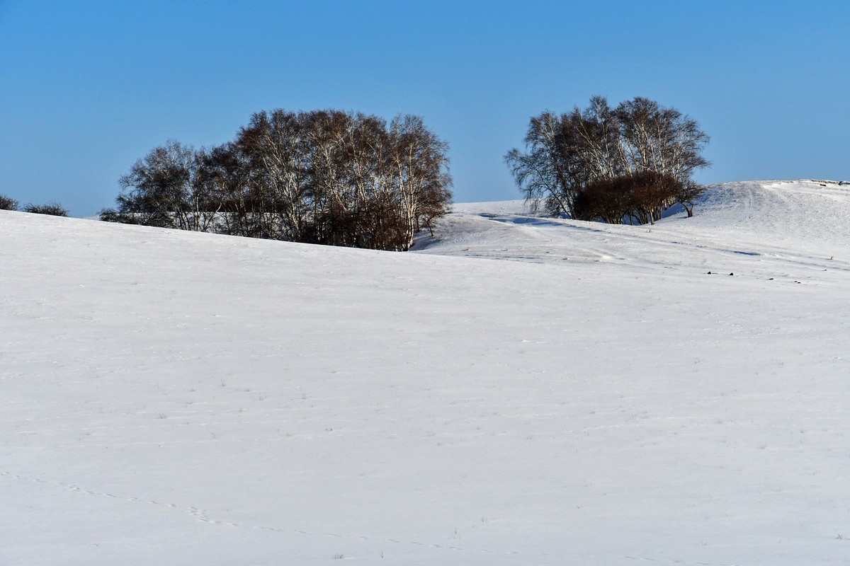 我只是把出去看到的随手记录下来（135）