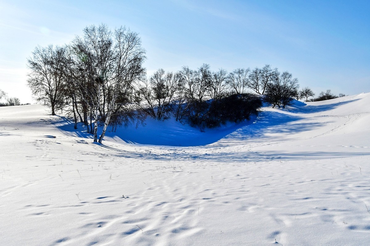 我只是把出去看到的随手记录下来（135）