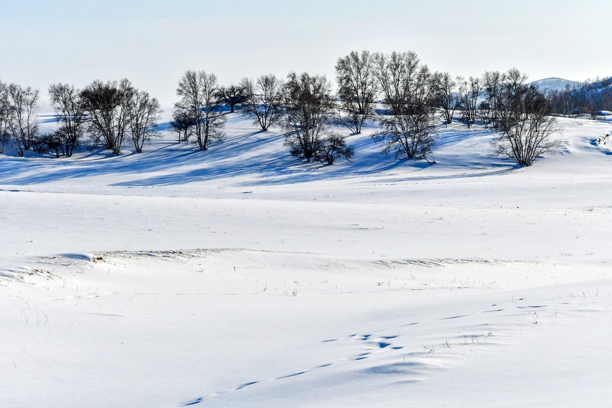 我只是把出去看到的随手记录下来（135）