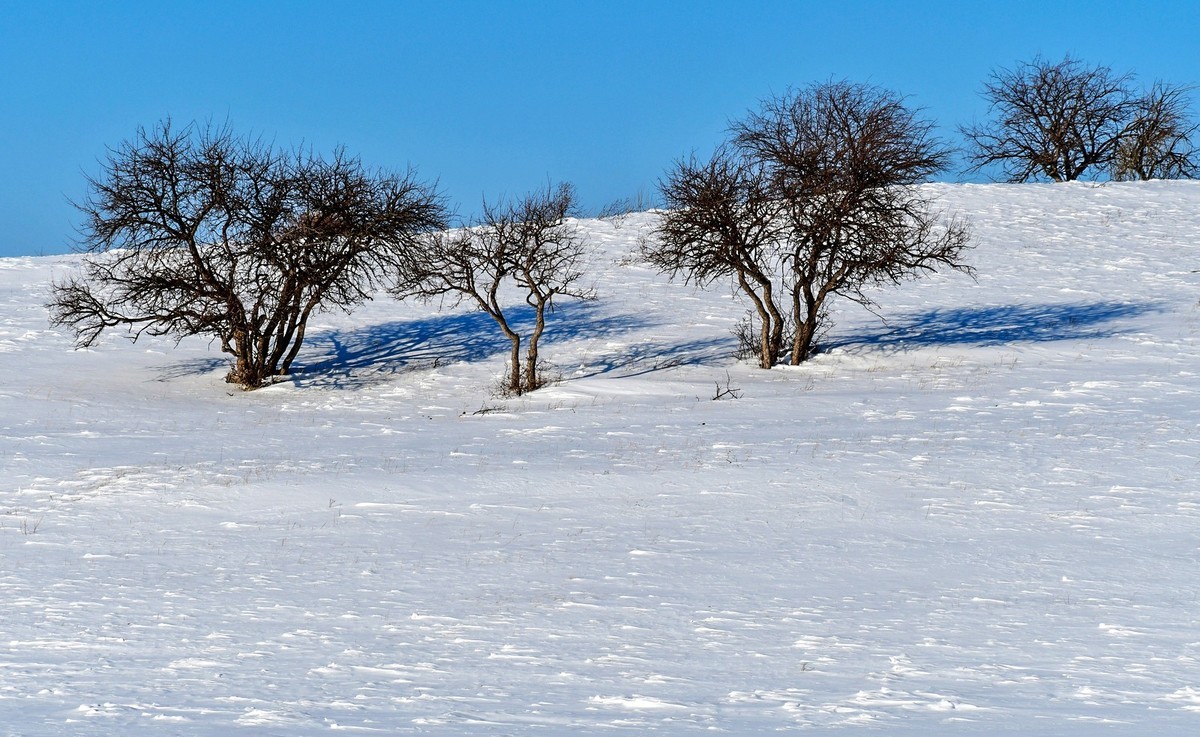 我只是把出去看到的随手记录下来（135）