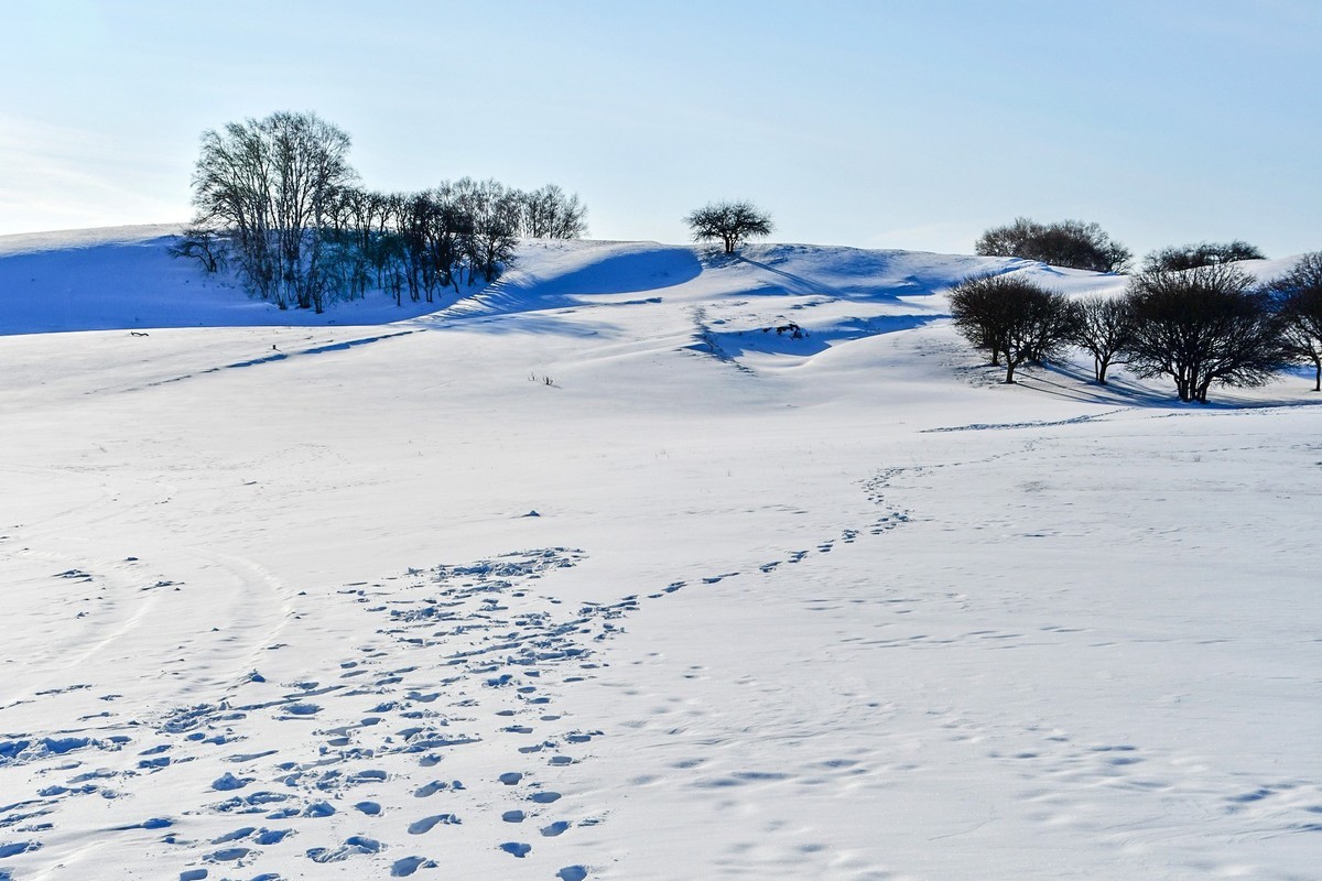 我只是把出去看到的随手记录下来（135）