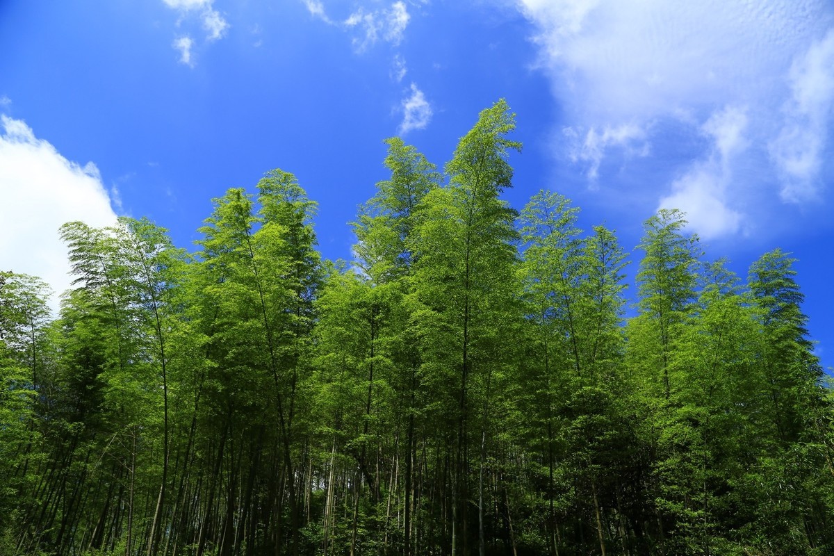 我只是把出去看到的随手记录下来（134）