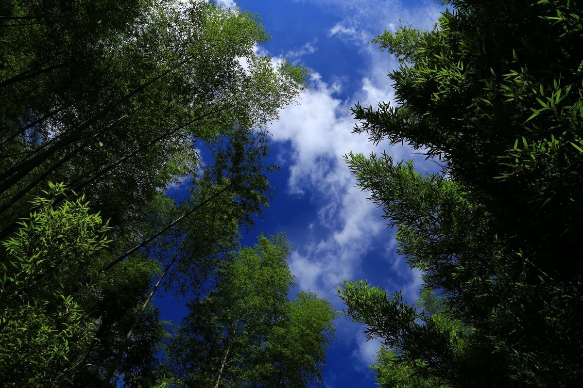 我只是把出去看到的随手记录下来（134）