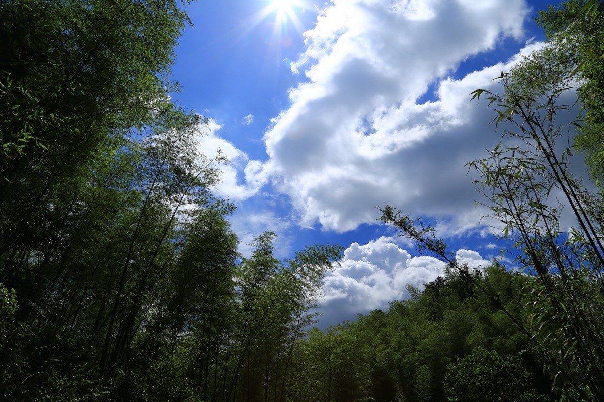 我只是把出去看到的随手记录下来（134）