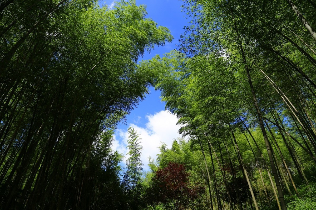 我只是把出去看到的随手记录下来（134）