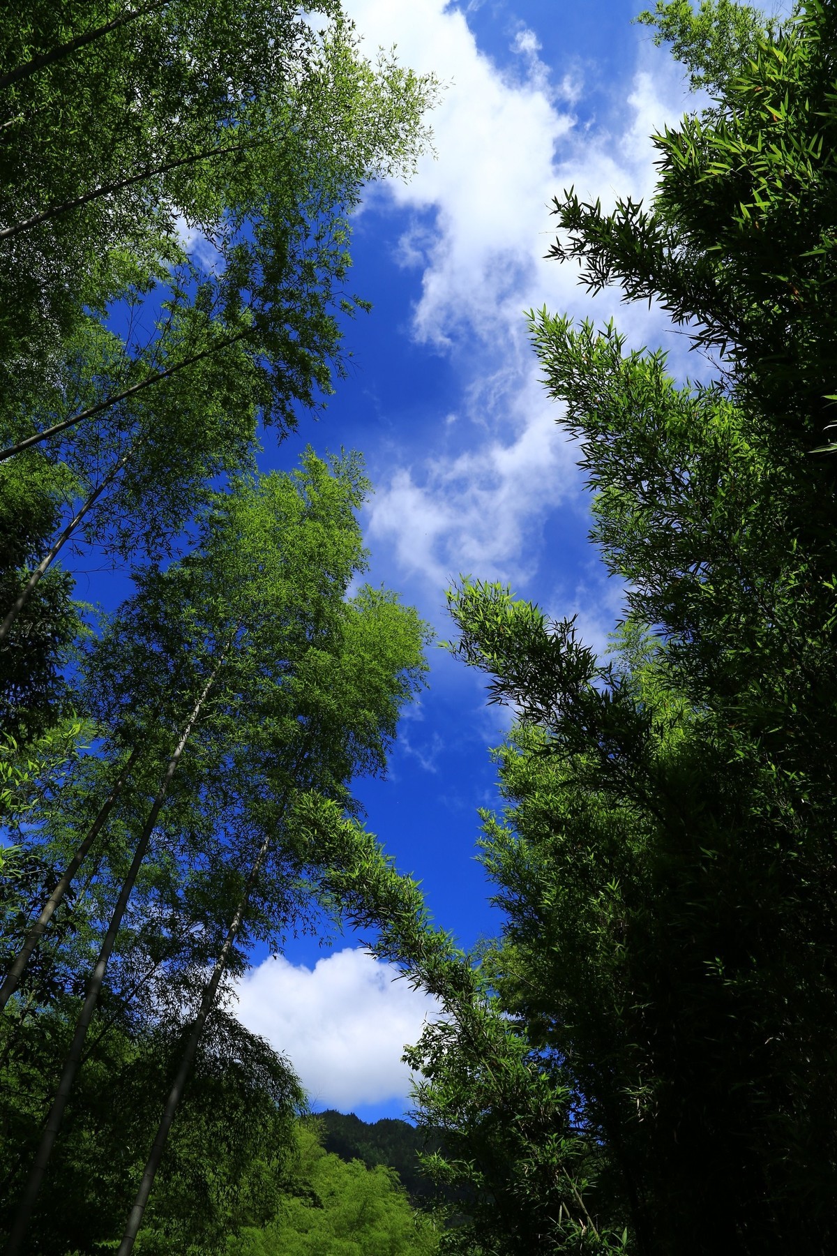 我只是把出去看到的随手记录下来（134）