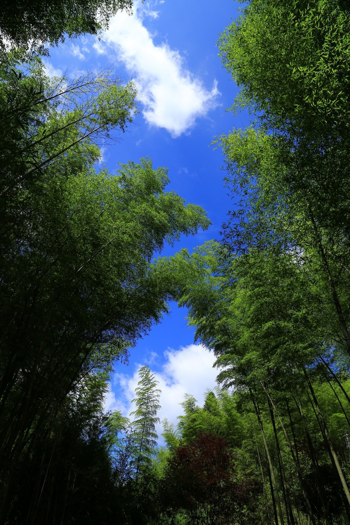 我只是把出去看到的随手记录下来（134）