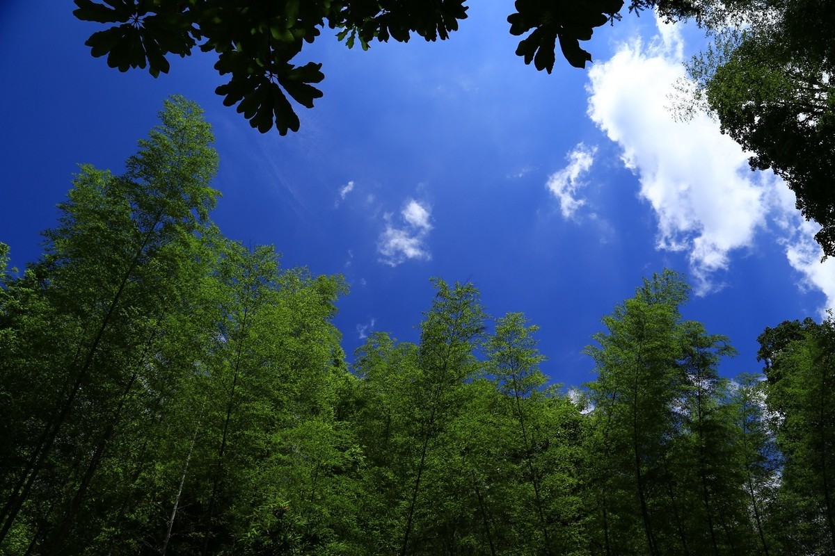 我只是把出去看到的随手记录下来（134）