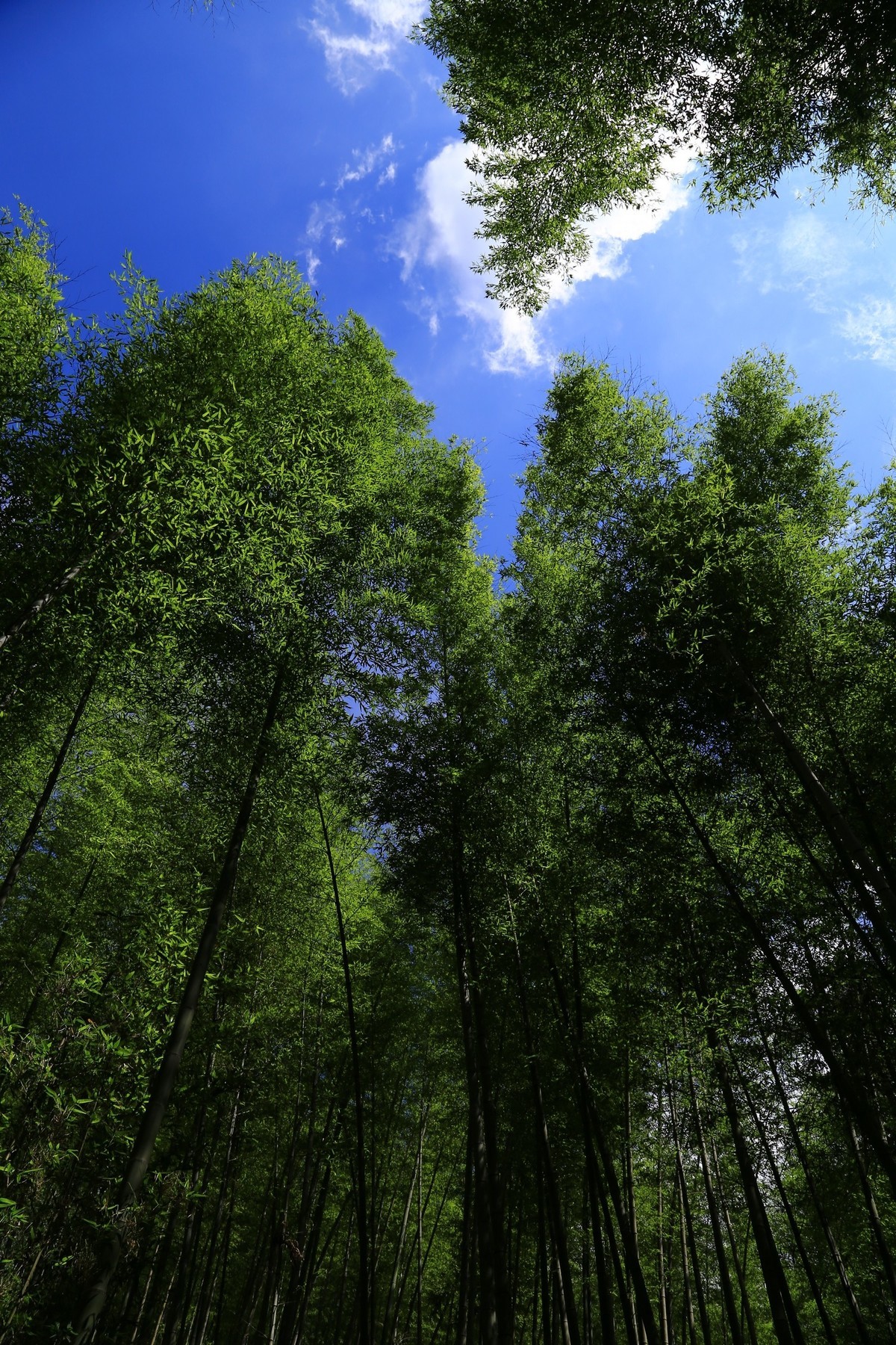 我只是把出去看到的随手记录下来（134）