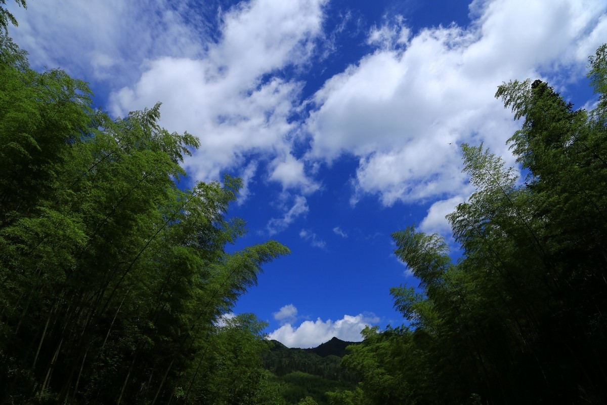 我只是把出去看到的随手记录下来（134）