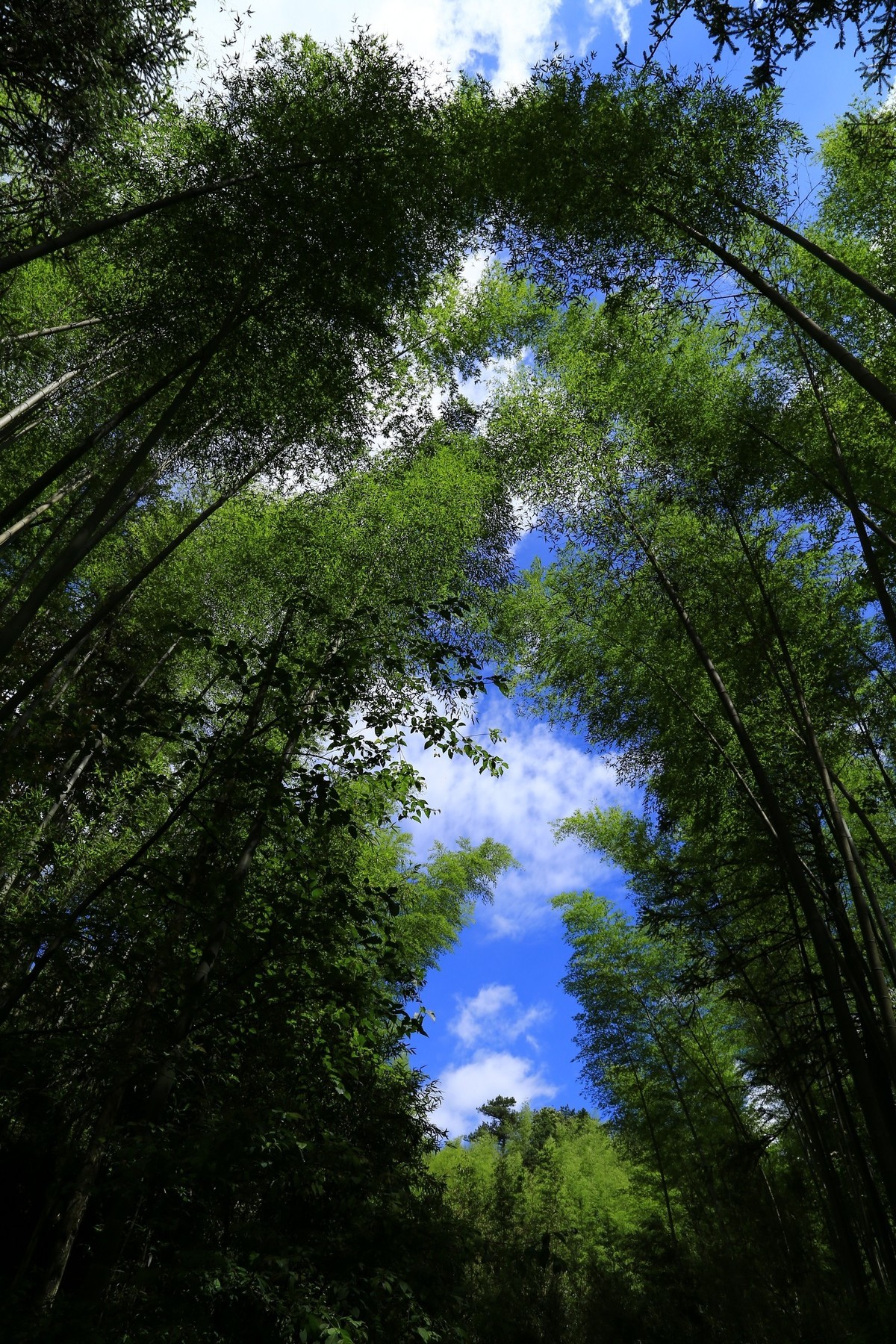 我只是把出去看到的随手记录下来（134）