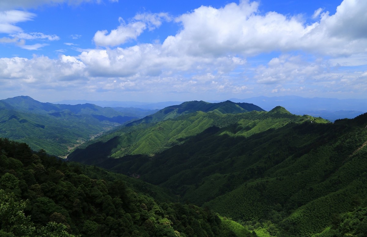 我只是把出去看到的随手记录下来（134）