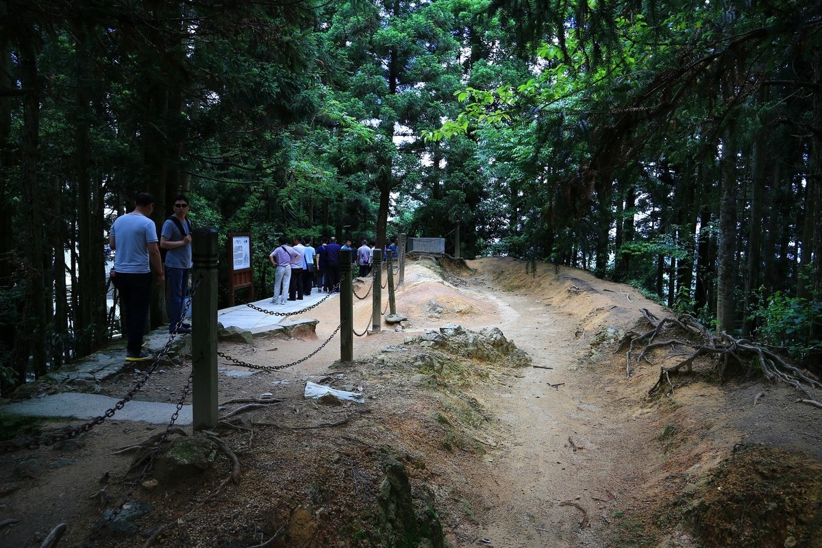 我只是把出去看到的随手记录下来（134）