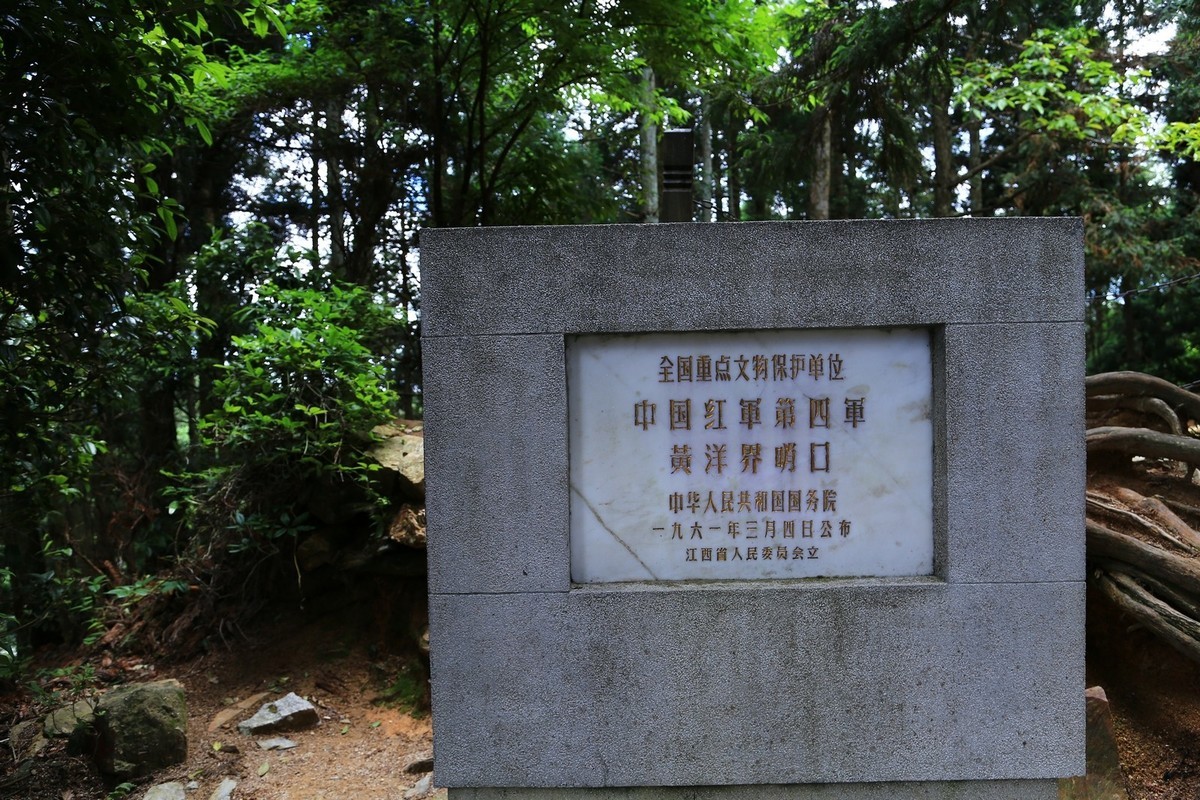 我只是把出去看到的随手记录下来（134）