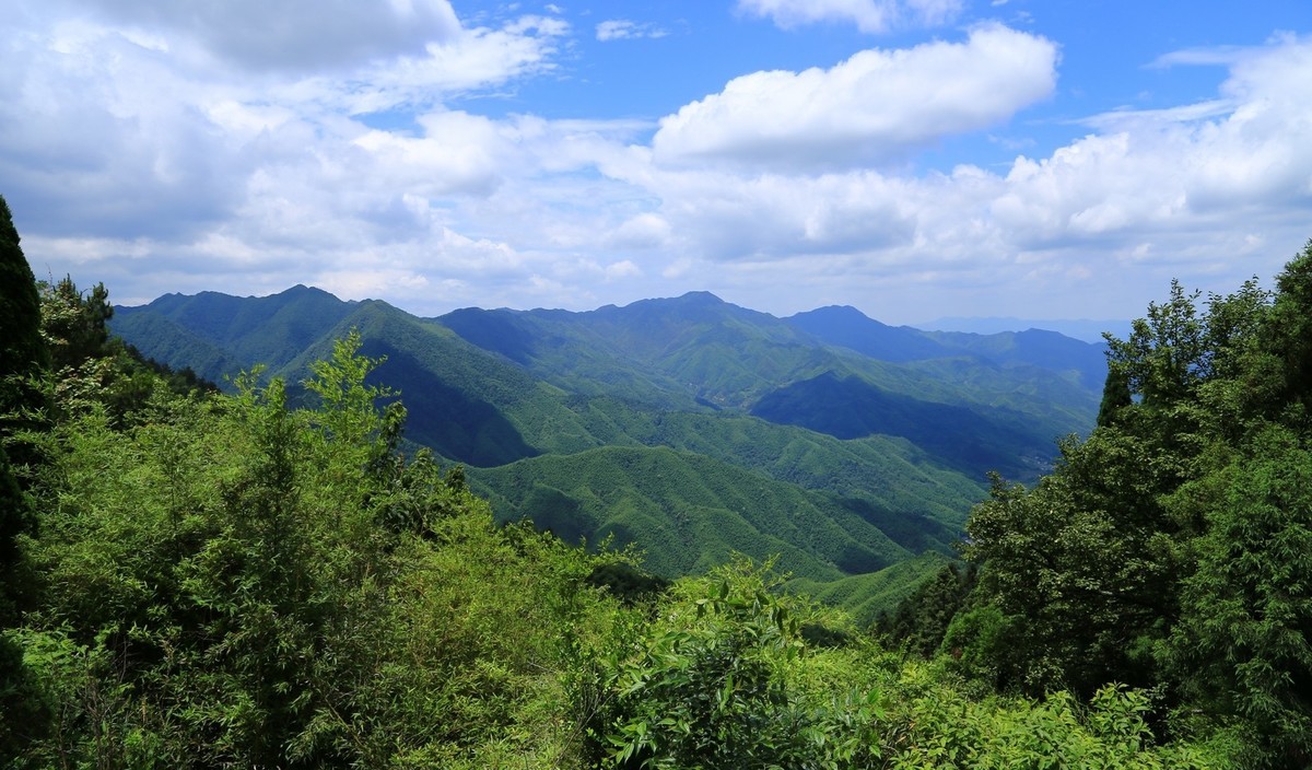 我只是把出去看到的随手记录下来（134）