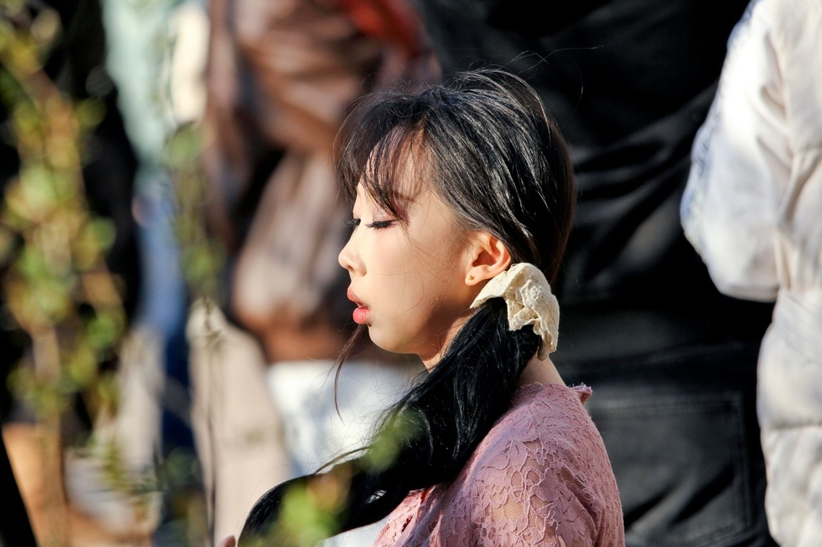 杂拍——邂逅春天