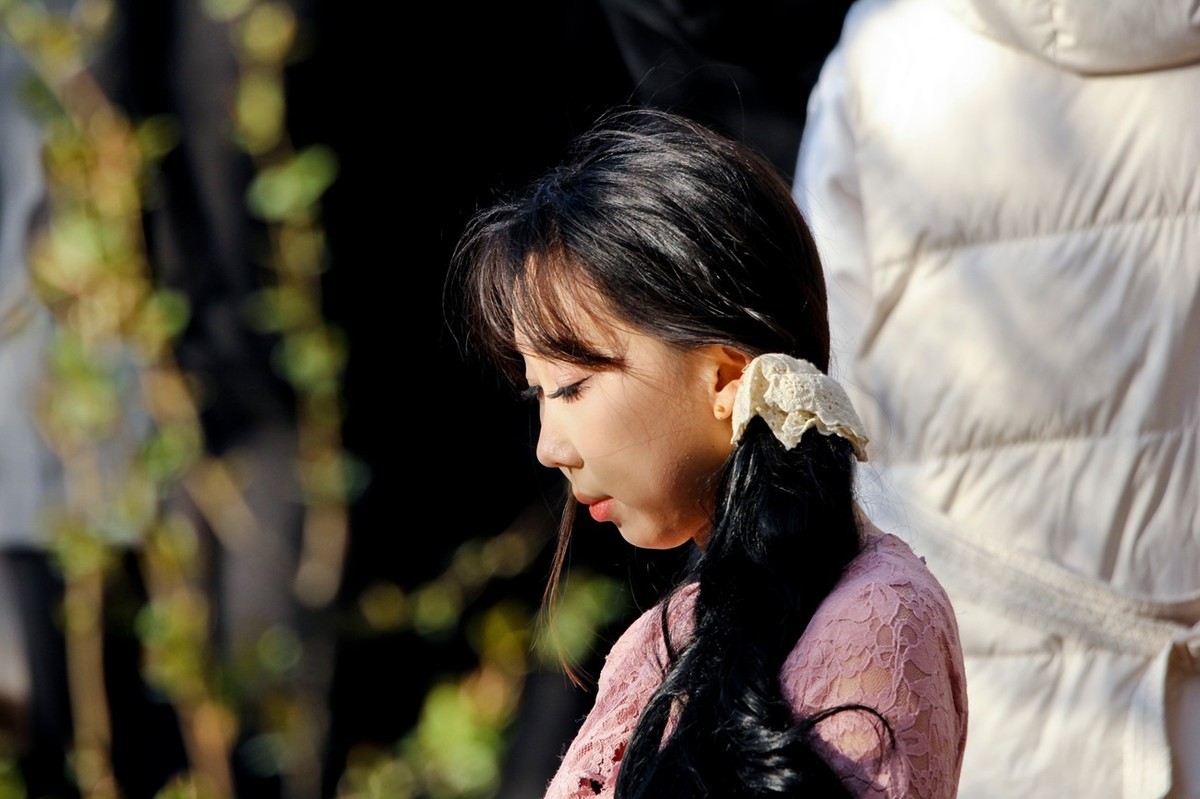 杂拍——邂逅春天