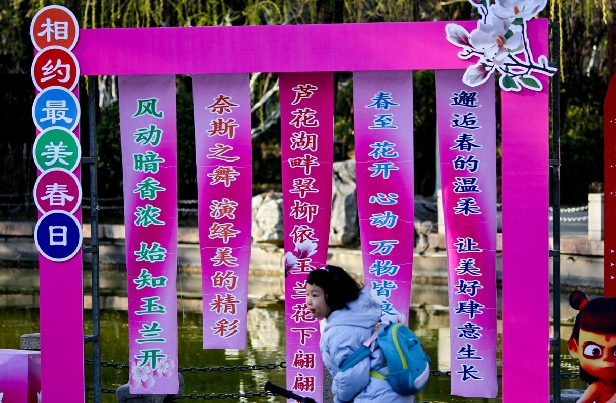 杂拍——邂逅春天