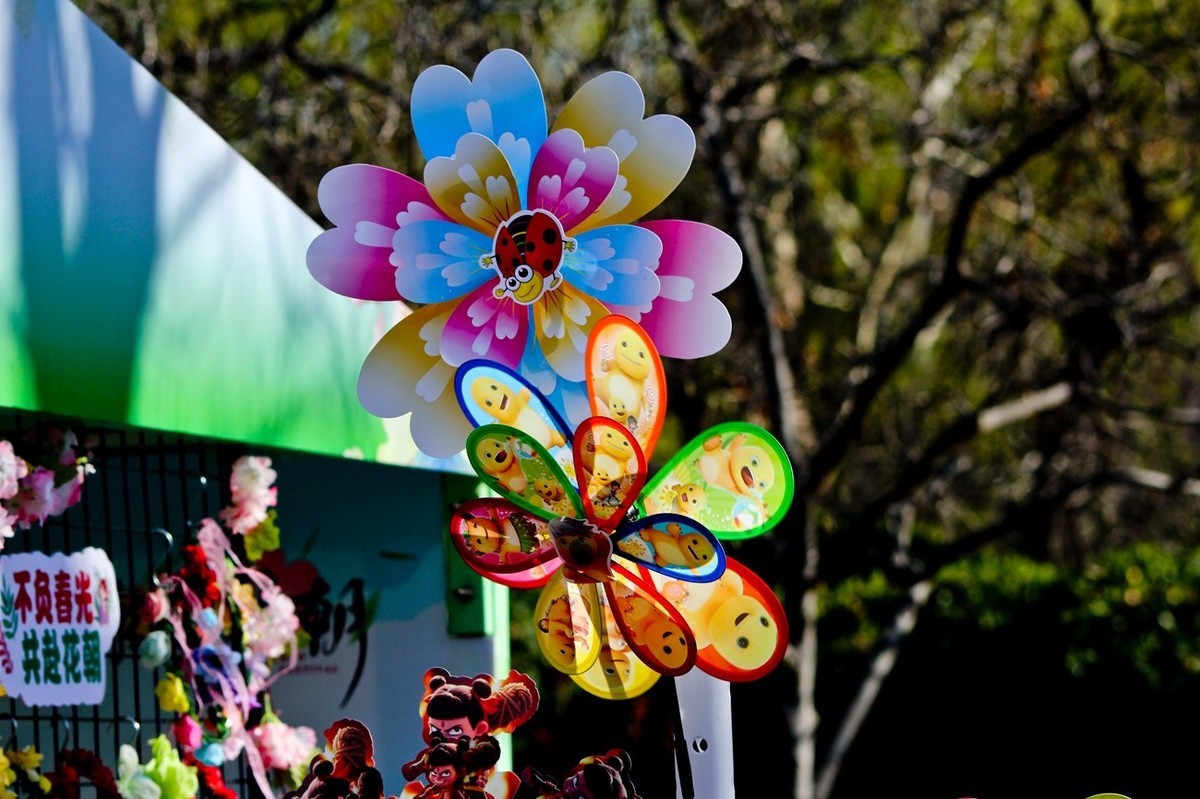 杂拍——邂逅春天