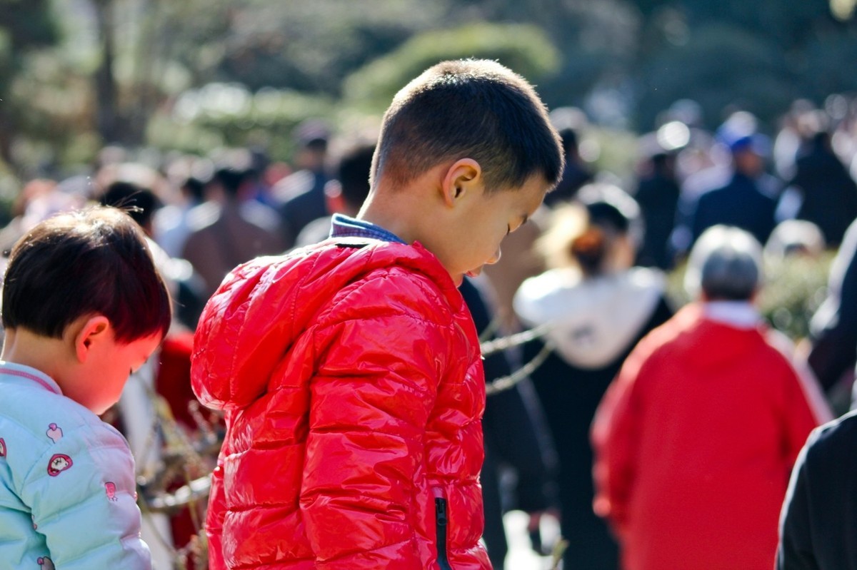 杂拍——邂逅春天
