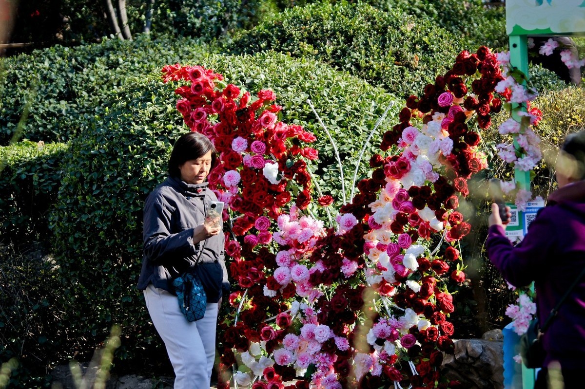 杂拍——邂逅春天