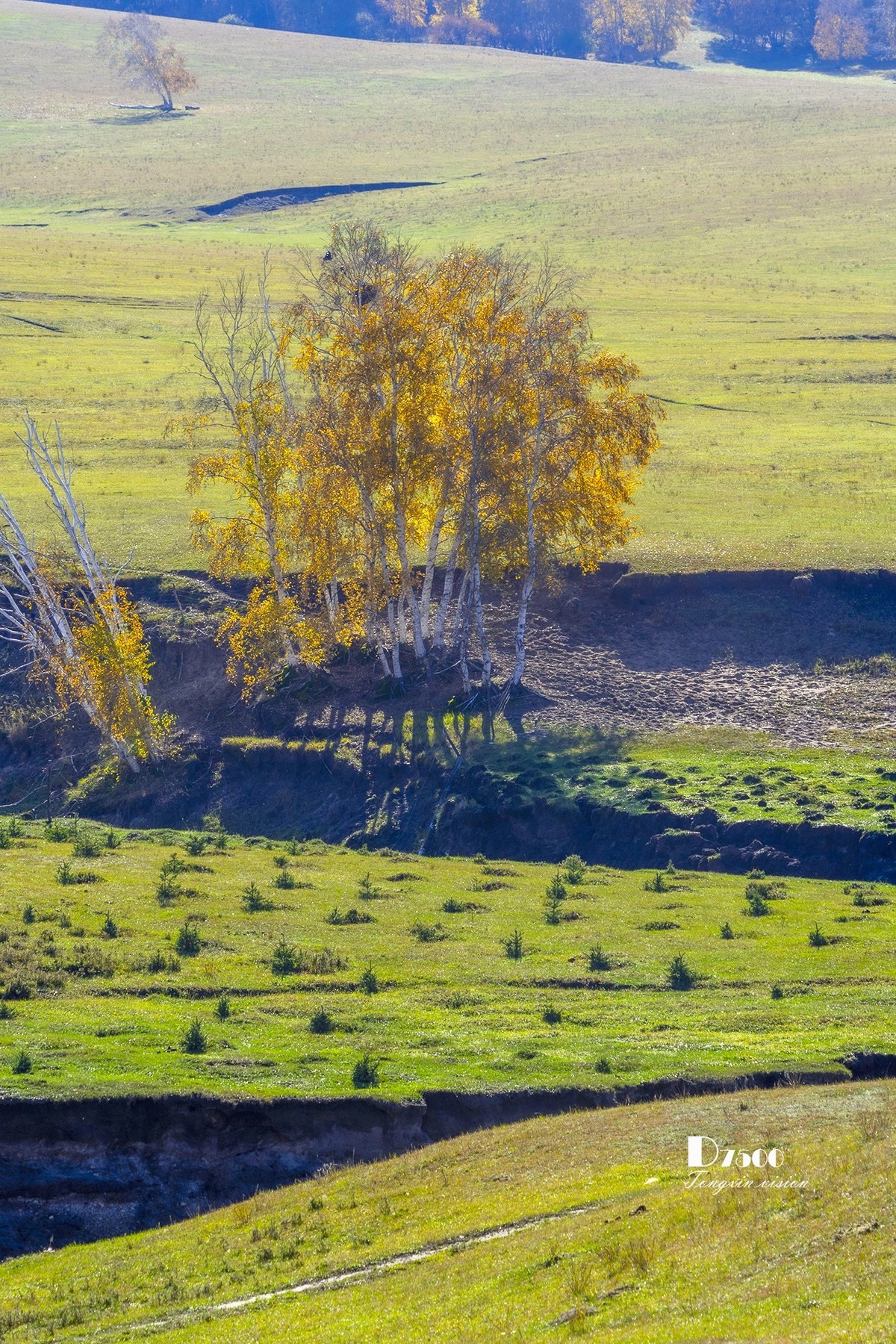 金秋乌兰布统——盘龙峡谷（4）