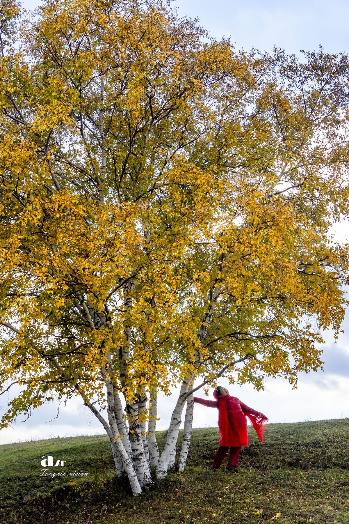 金秋乌兰布统——盘龙峡谷（4）