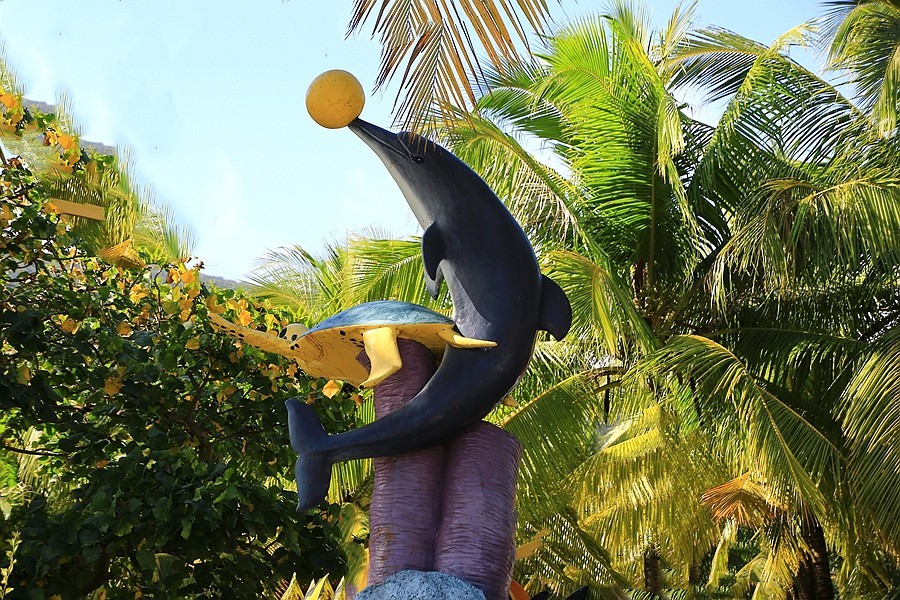 《不老松：忆海南游记》去往分界洲島船上拍！