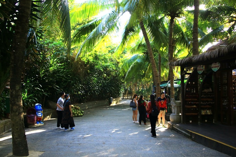 《不老松：忆海南游记》三亚分界洲島美景！01