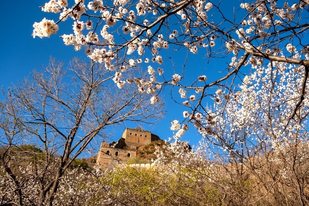 2025年-金山岭长城纪实抓拍-0505