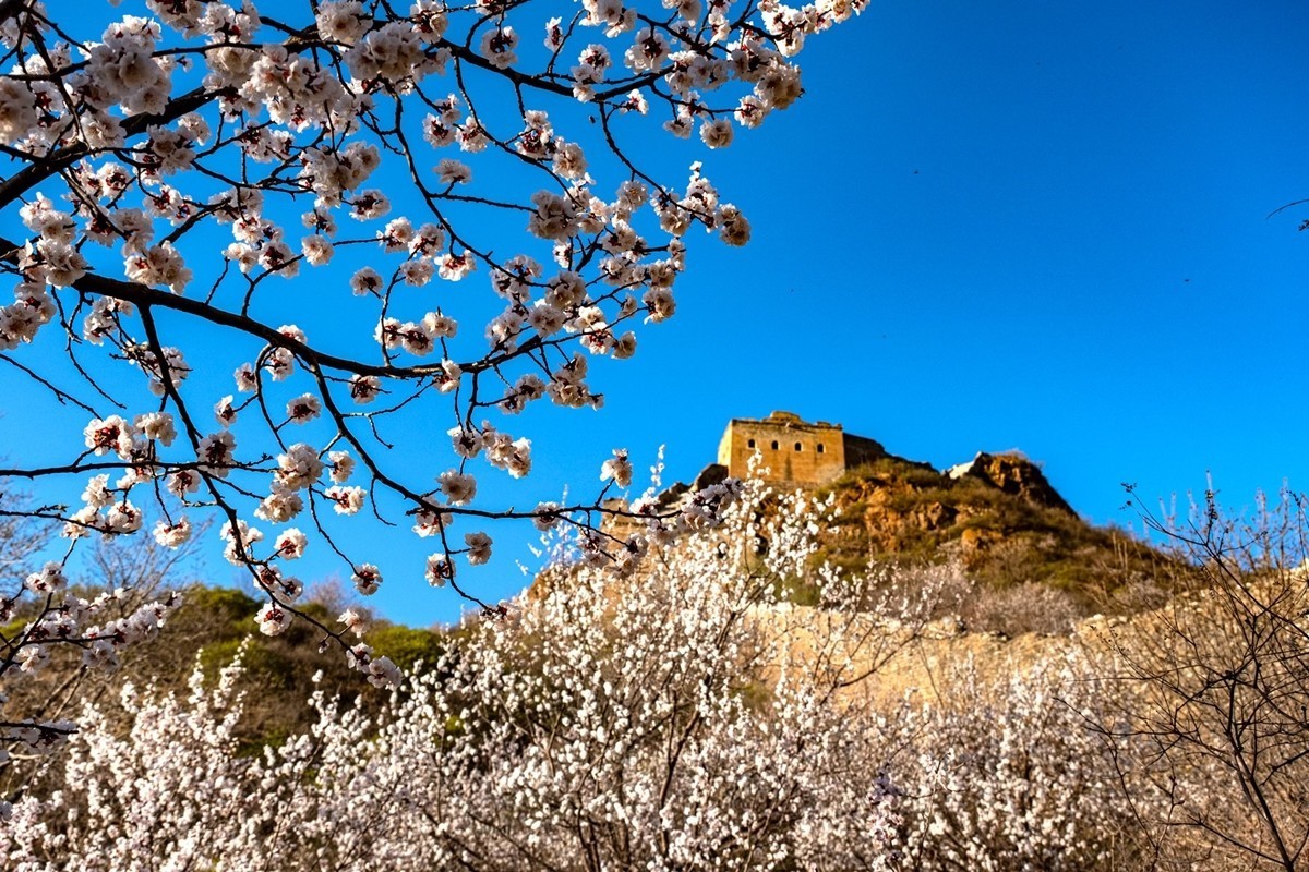 2025年-金山岭长城纪实抓拍-0505