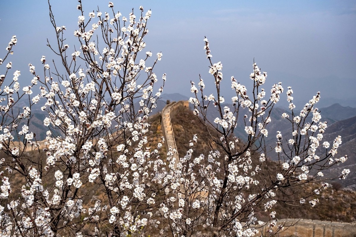 2025年-金山岭长城纪实抓拍-0504