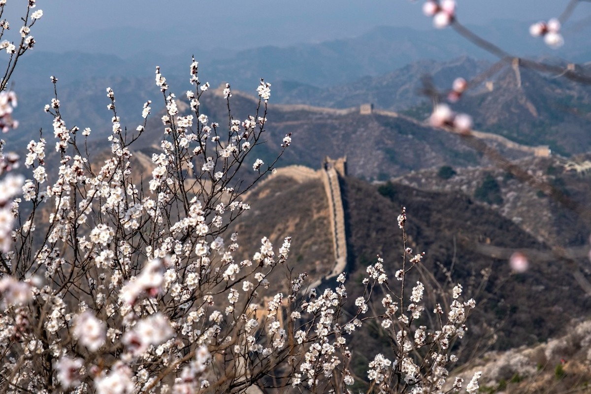 2025年-金山岭长城纪实抓拍-0504