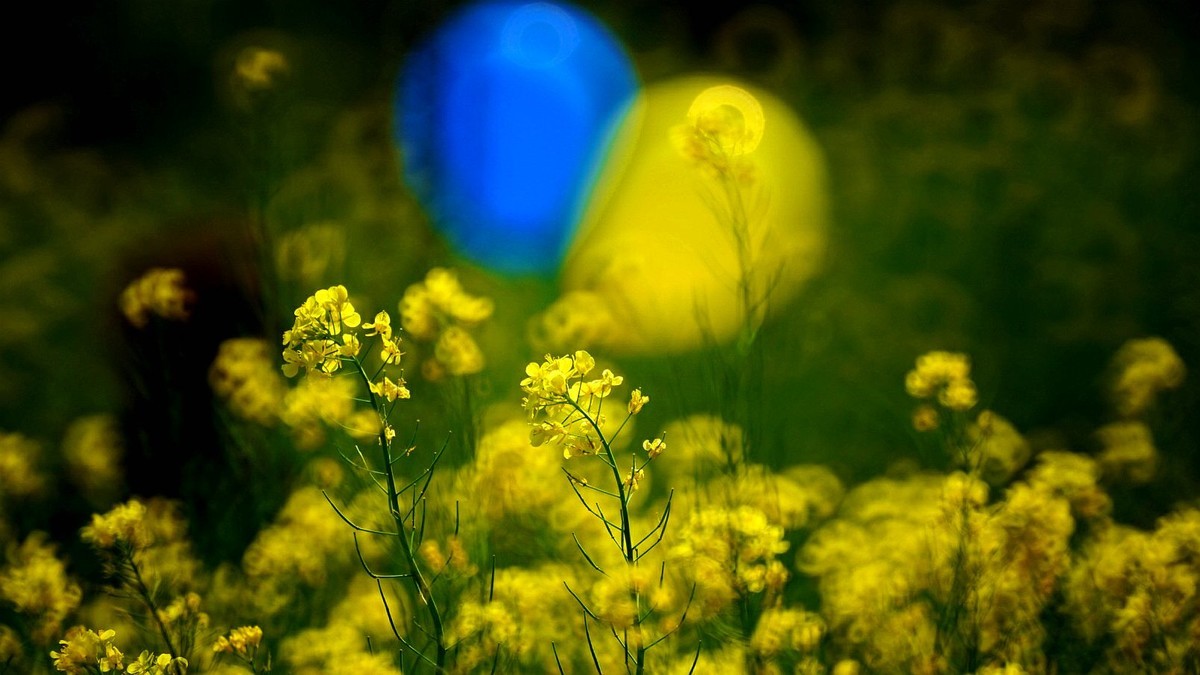 大 连 华 家 牡 丹 园 （ 四 ）