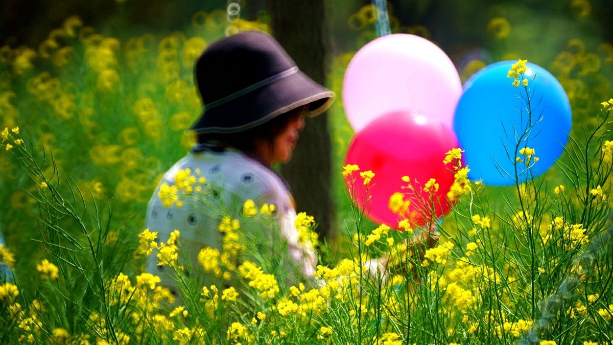 大 连 华 家 牡 丹 园 （ 四 ）