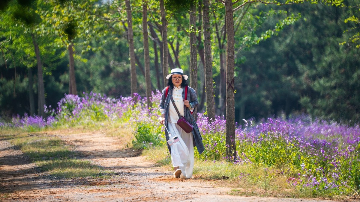 大 连 华 家 牡 丹 园 （ 四 ）