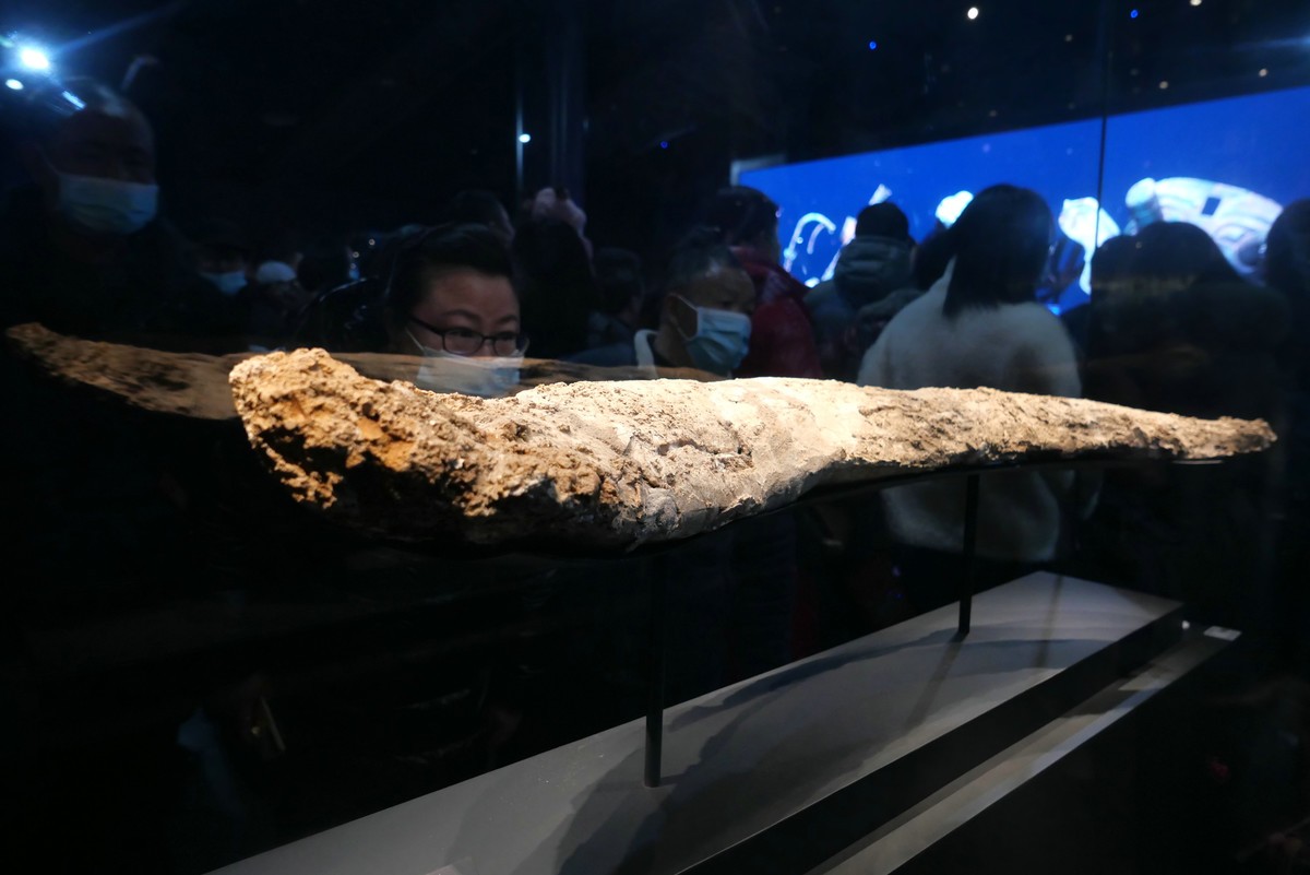 星空体育平台堆博物馆
