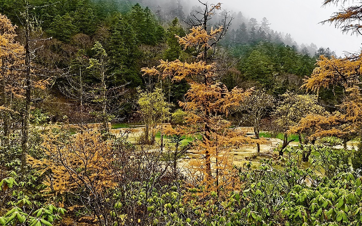 22108---四川随拍（33）