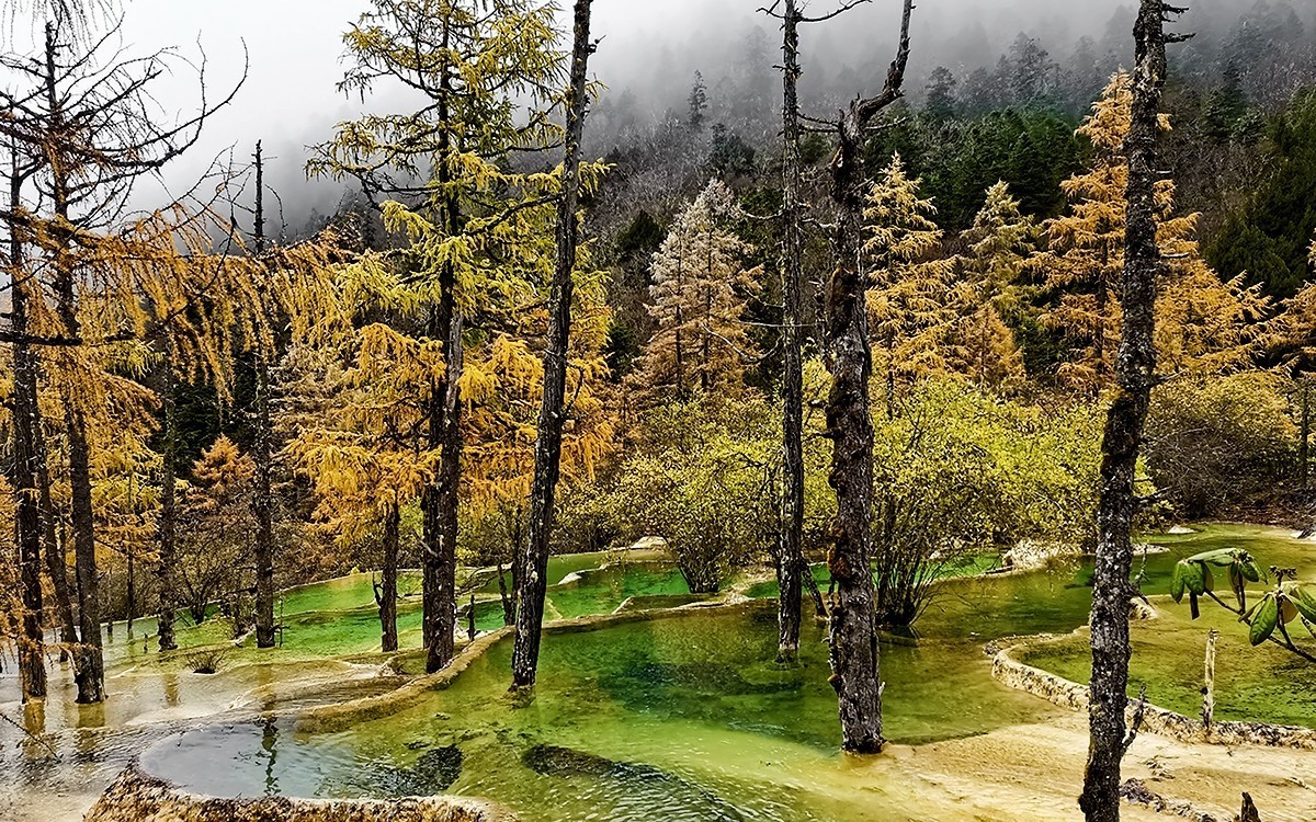 22108---四川随拍（33）